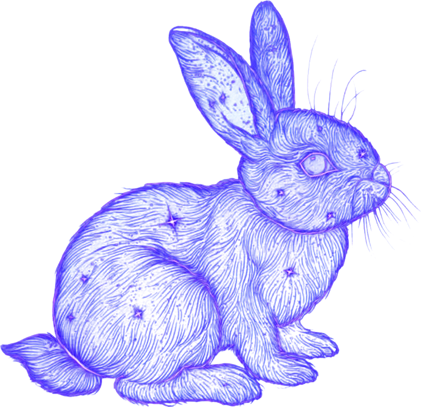the bunny